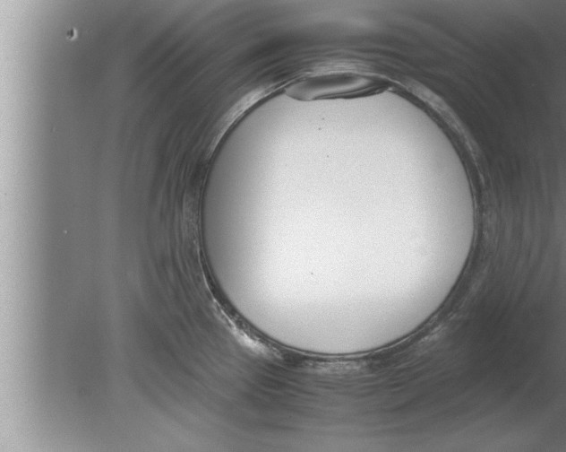 X0000080171337200612302209