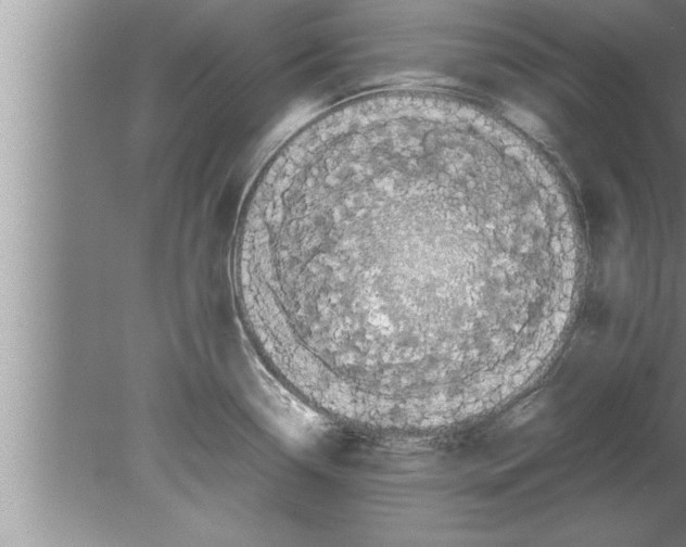 X0000080171338200612302209