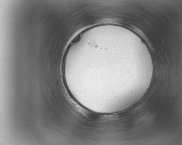 X0000080171339200612302209