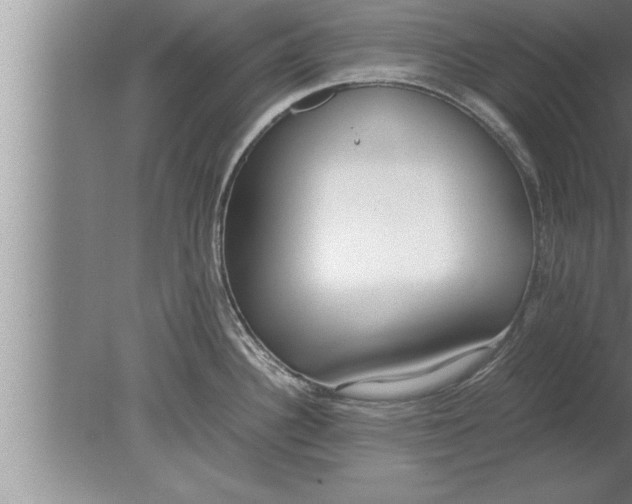 X0000080171340200612302209