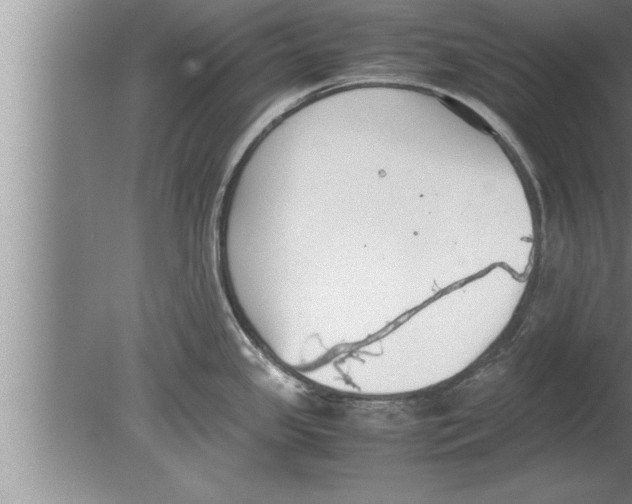 X0000080171341200612302209