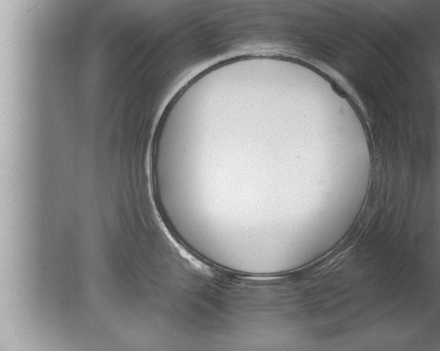 X0000080171343200612302209