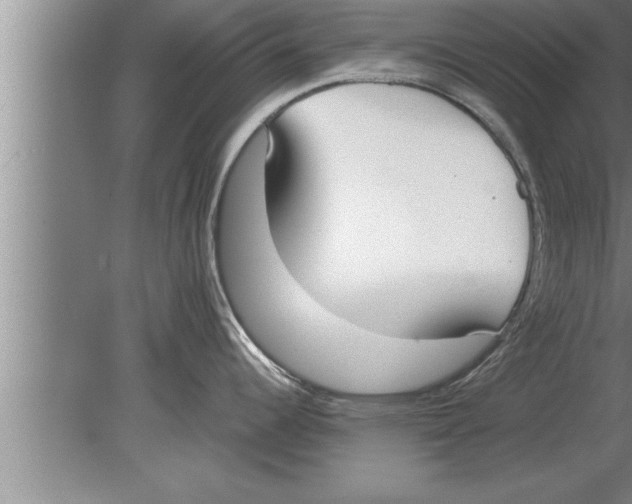 X0000080171344200612302209