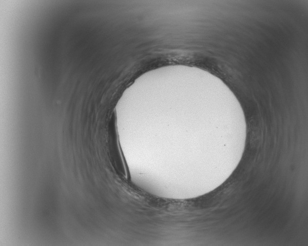 X0000080171345200612302209