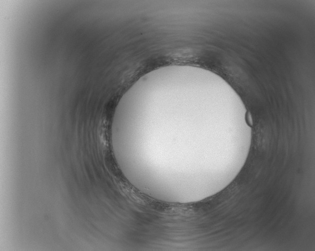 X0000080171346200612302209