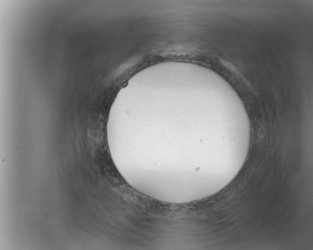 X0000080171350200612302209