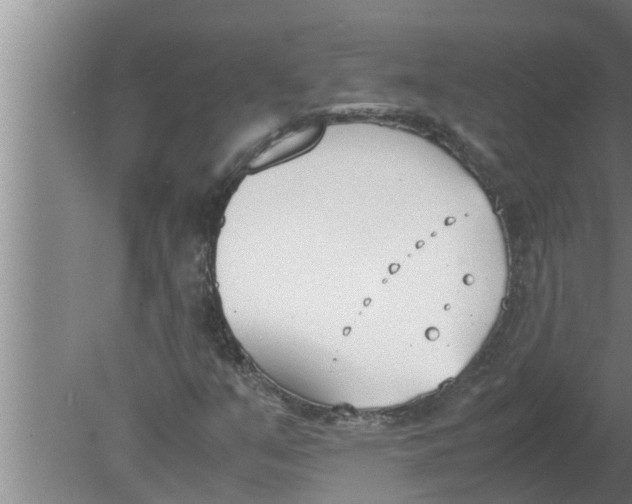 X0000080171351200612302208