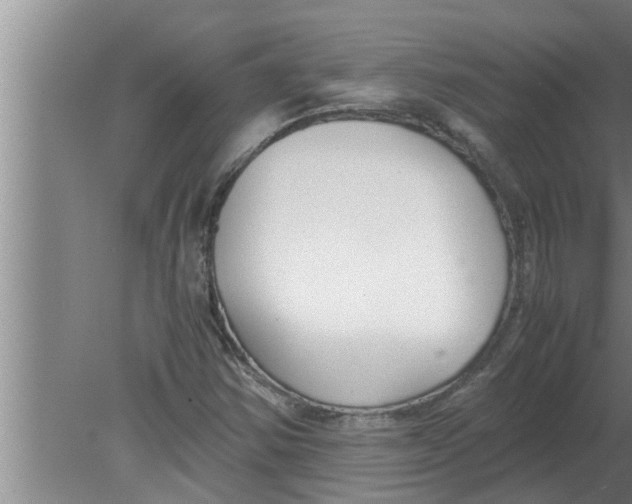 X0000080171354200612302208