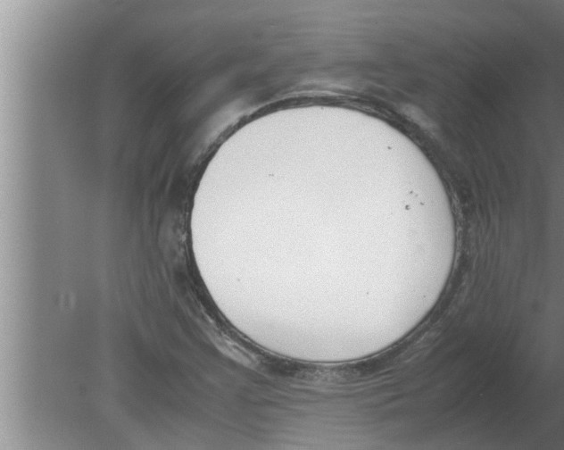 X0000080171355200612302208