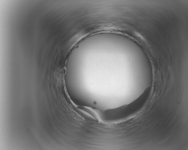 X0000080171361200612302208