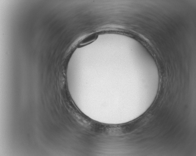 X0000080171363200612302208