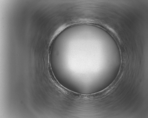 X0000080171365200612302208