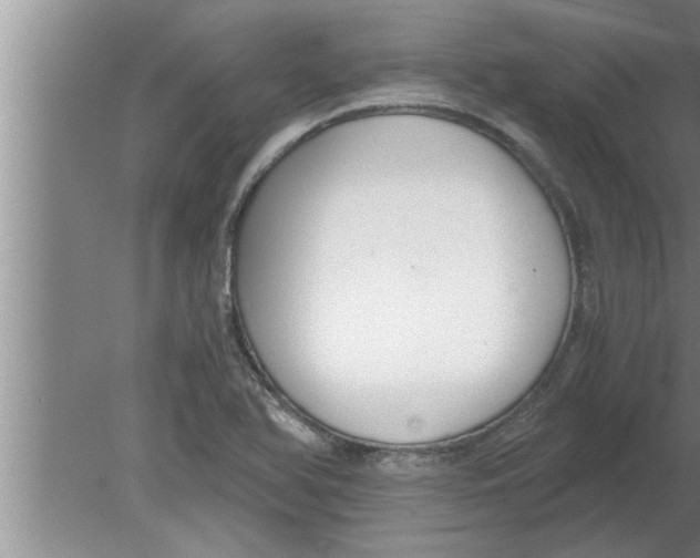 X0000080171366200612302208