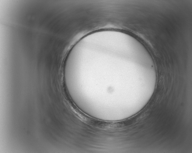 X0000080171367200612302208