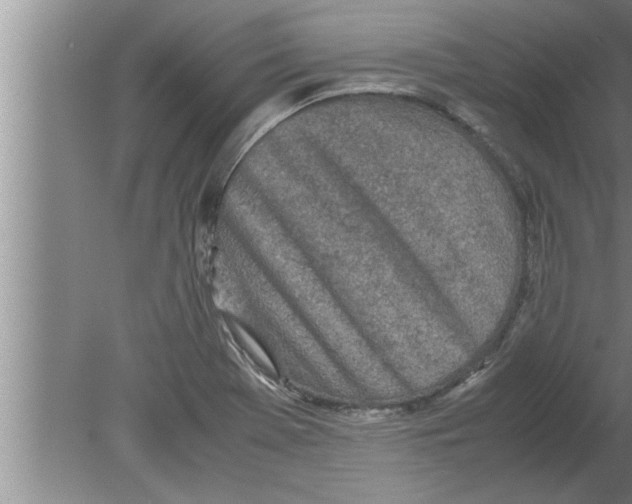 X0000080171369200612302208