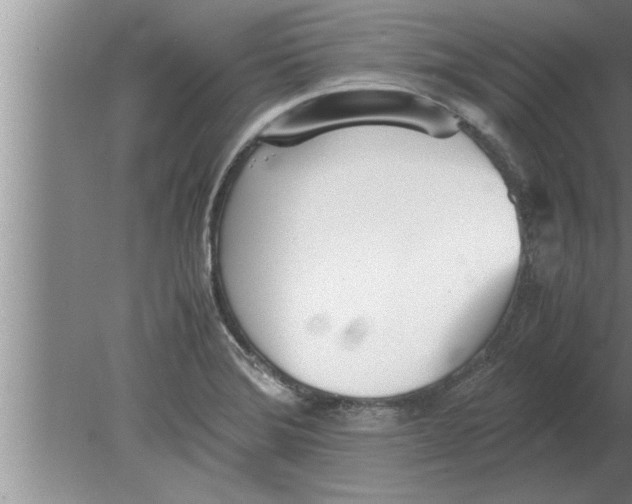 X0000080171372200612302208