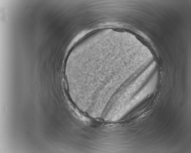 X0000080171373200612302208