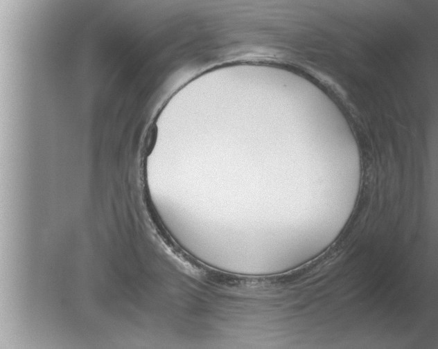 X0000080171375200612302208