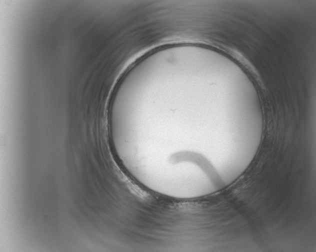 X0000080171380200612302208