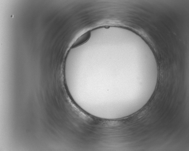 X0000080171382200612302208