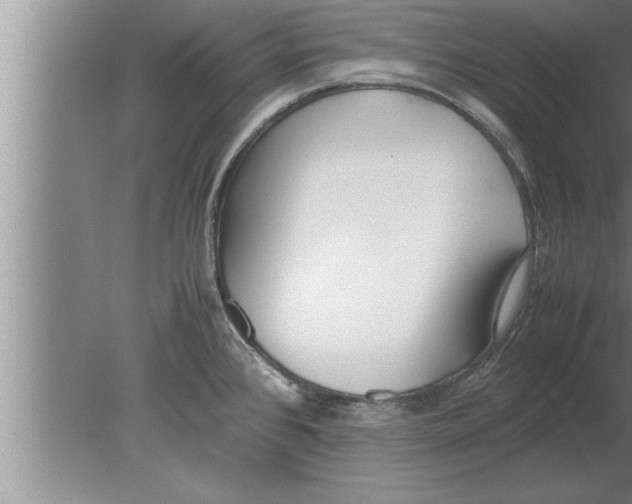 X0000080171384200612302208