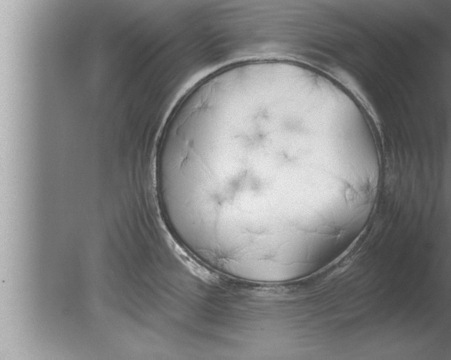 X0000080171388200612302208