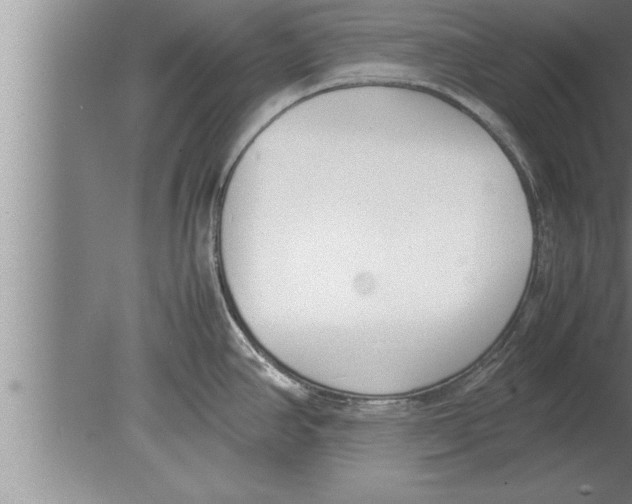 X0000080171390200612302208