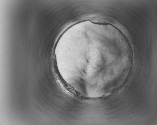 X0000080171392200612302208