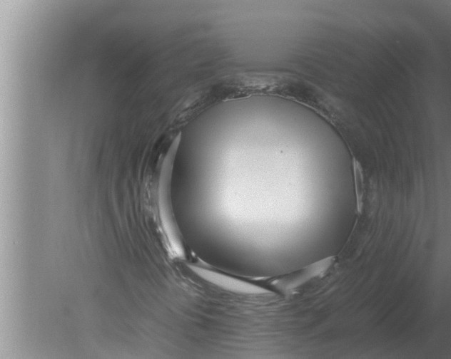 X0000080171394200612302207