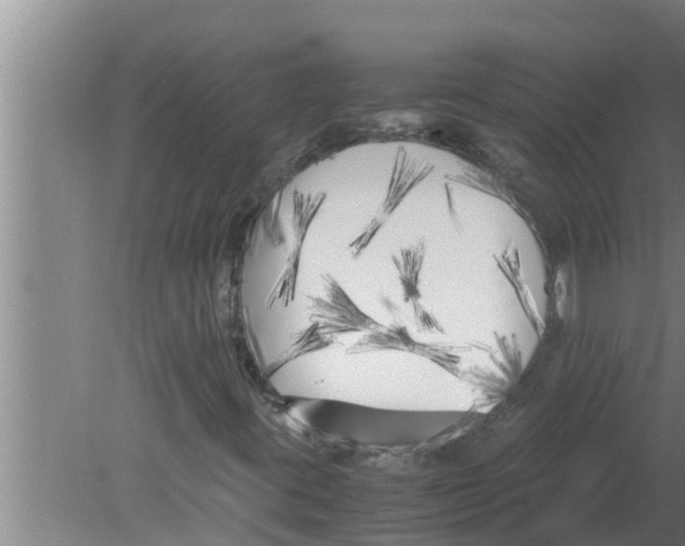 X0000080171395200612302207