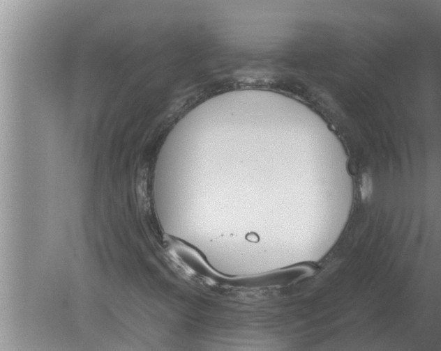 X0000080171396200612302207