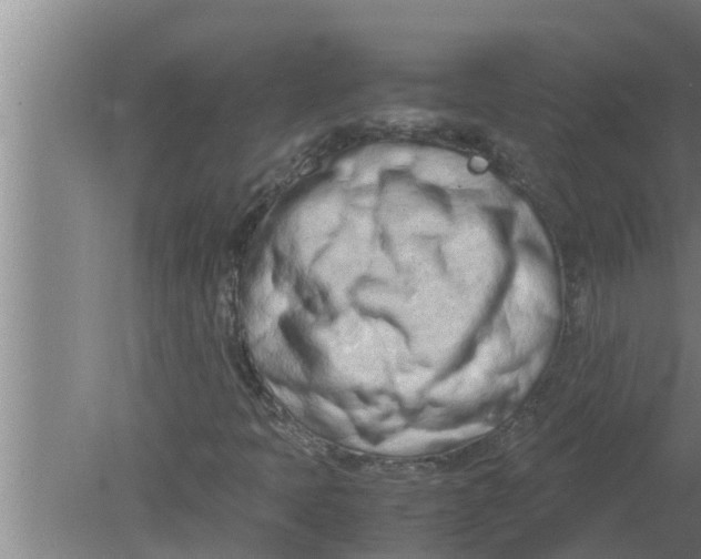 X0000080171397200612302207