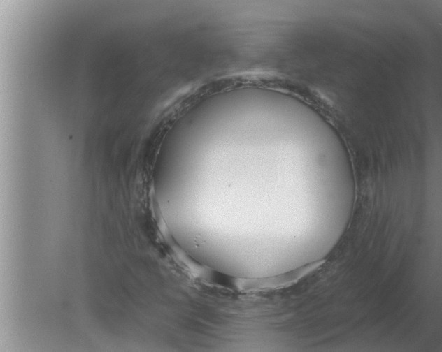 X0000080171398200612302207