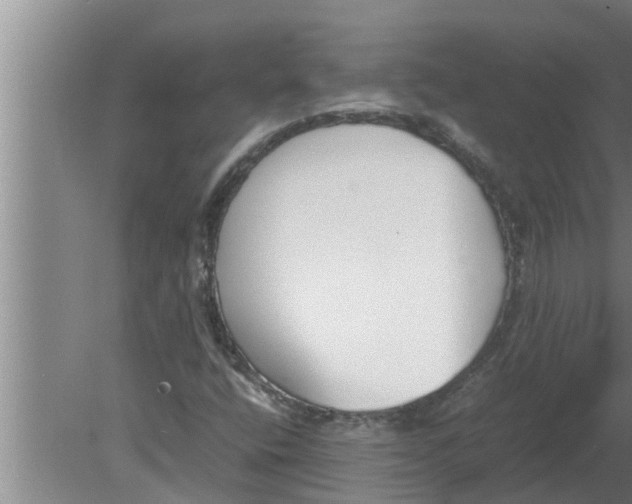 X0000080171400200612302207