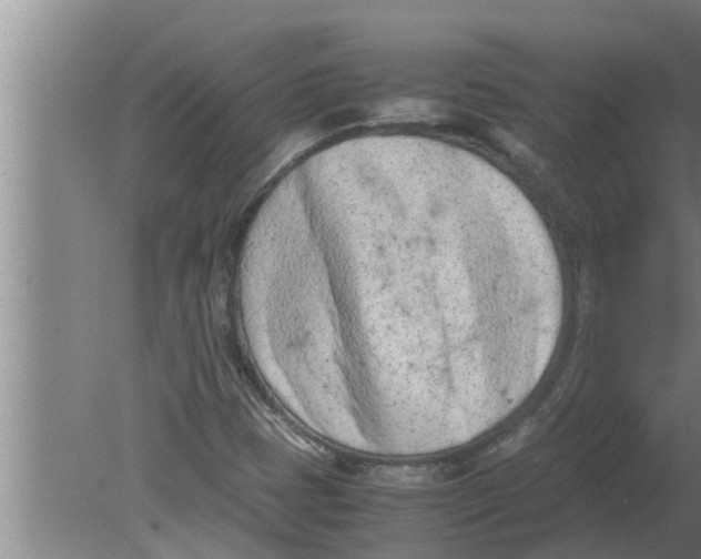 X0000080171401200612302207