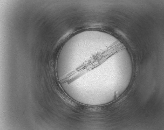 X0000080171403200612302207