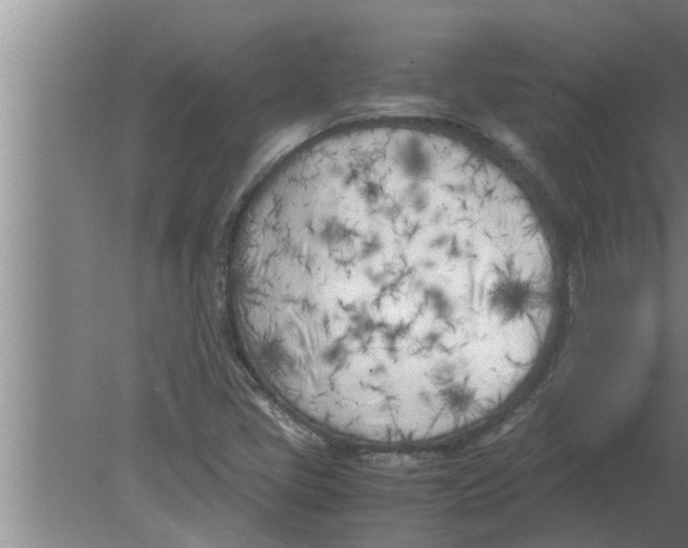 X0000080171405200612302207