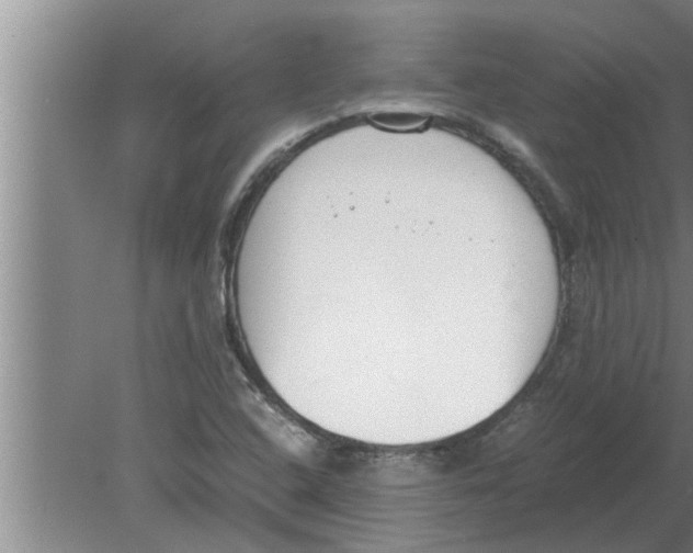 X0000080171408200612302207