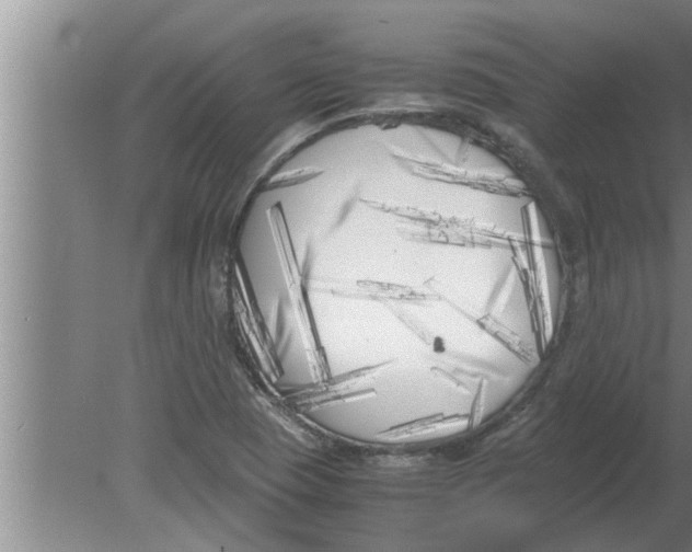 X0000080171409200612302207