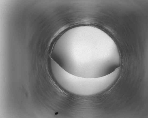 X0000080171410200612302207