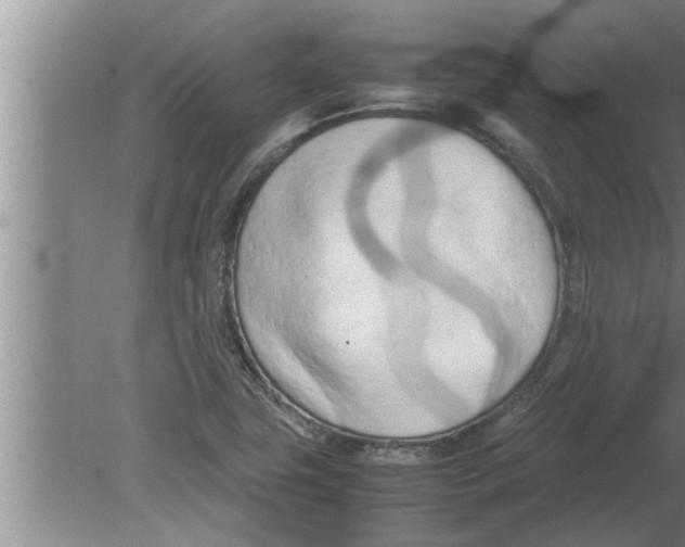 X0000080171411200612302207