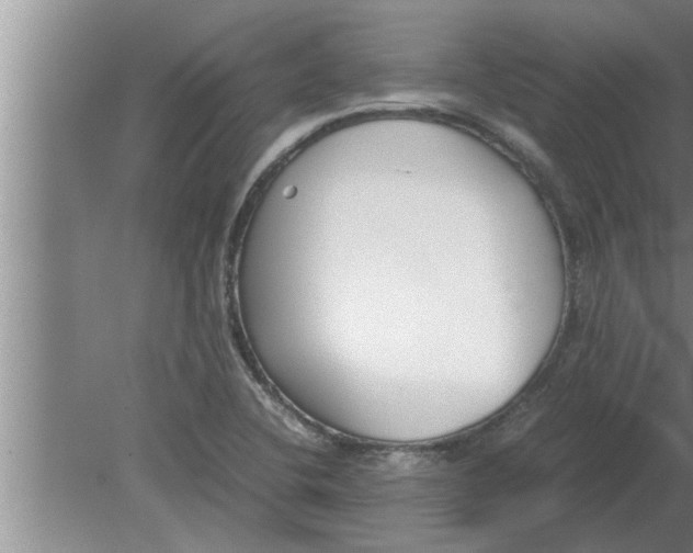 X0000080171412200612302207