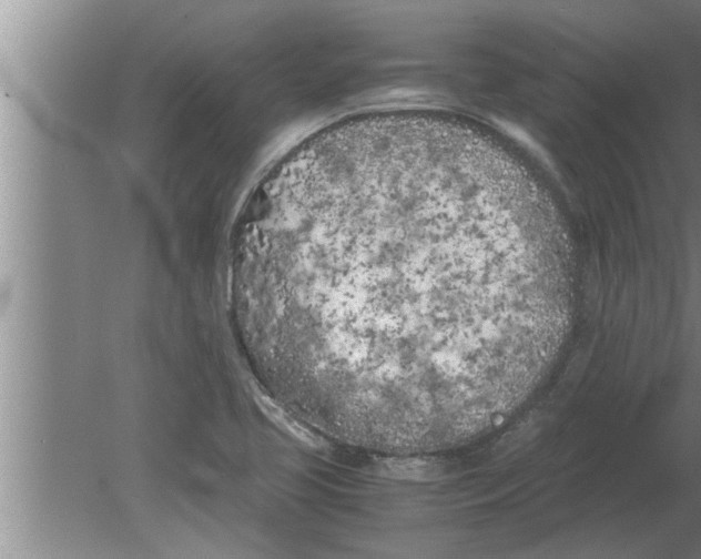 X0000080171413200612302207