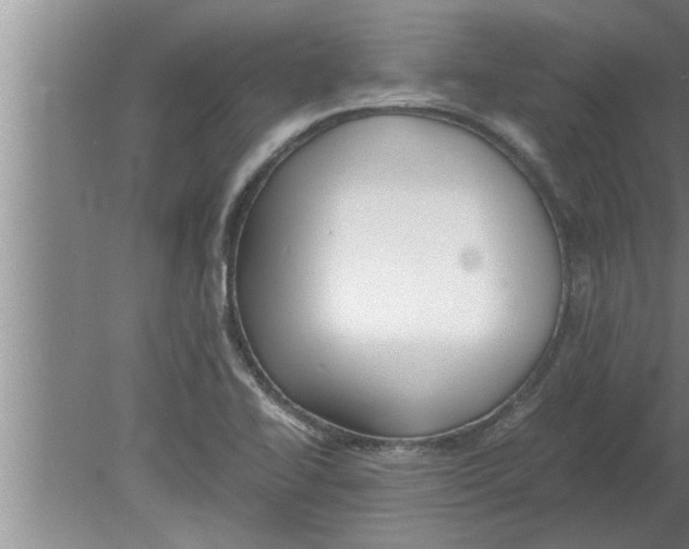 X0000080171414200612302207