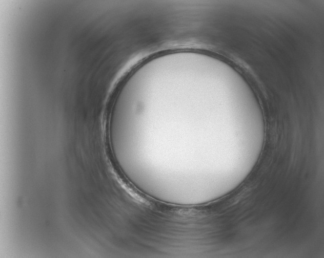 X0000080171416200612302207