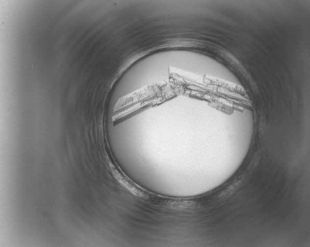 X0000080171417200612302207