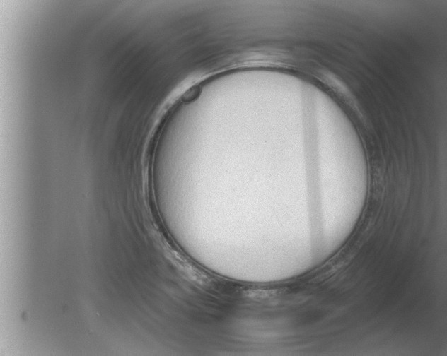 X0000080171419200612302207