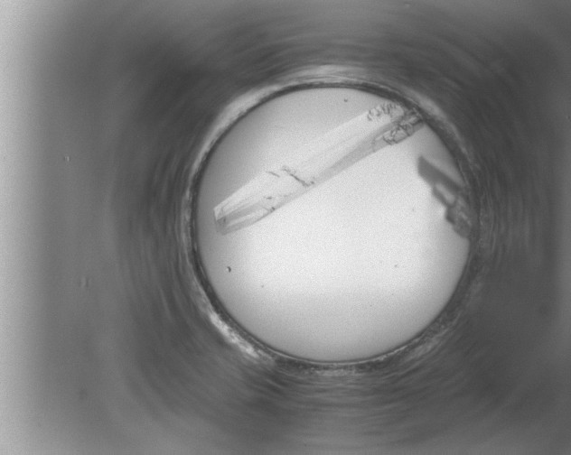 X0000080171421200612302207