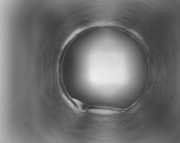 X0000080171422200612302207