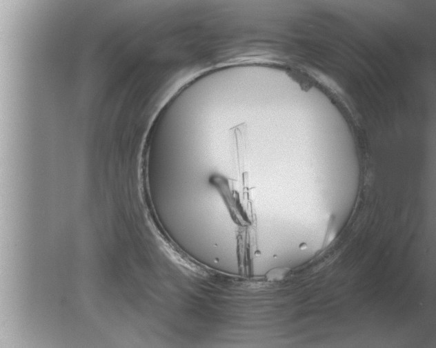 X0000080171423200612302207